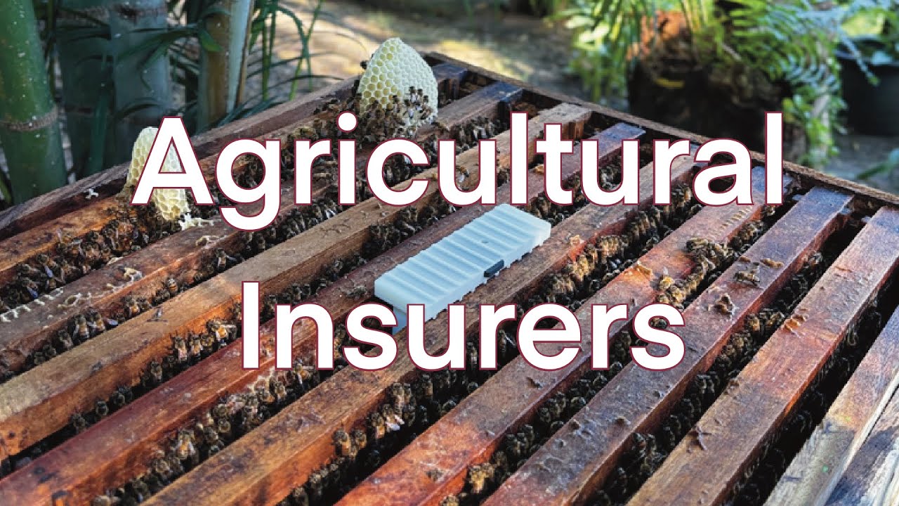 Agricultural Insurers