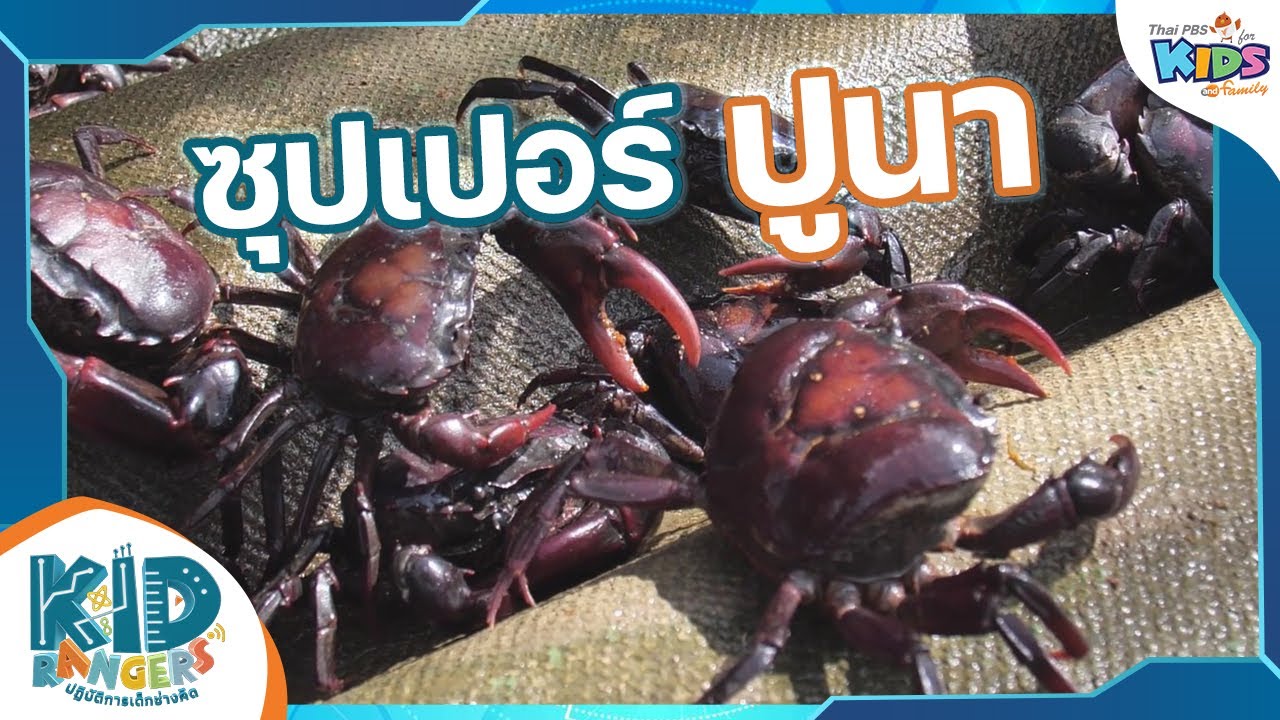 ซุปเปอร์ปูนา | Kid Rangers ปฏิบัติการเด็กช่างคิด
