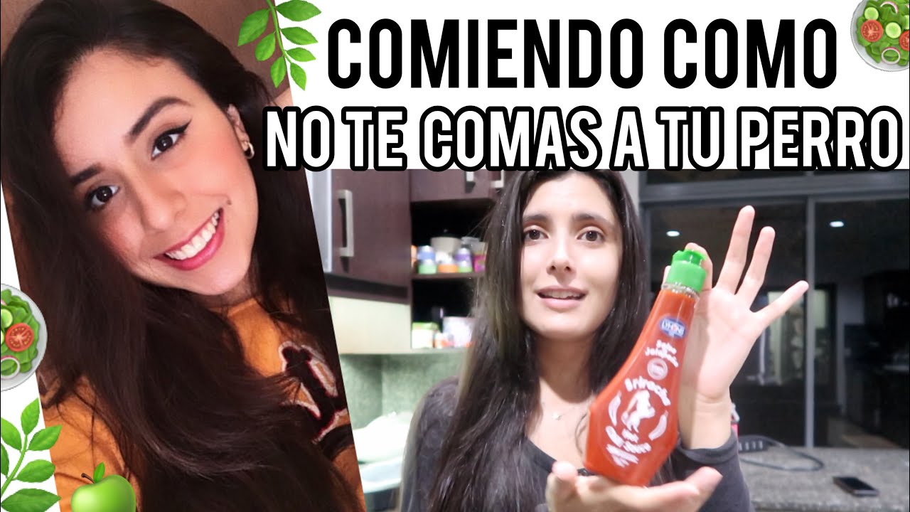 UN DÍA COMIENDO COMO NO TE COMAS A TU PERRO