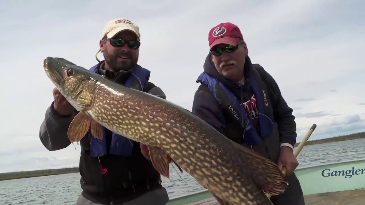 Chasing TROPHY Northern Pike in Northern Manitoba