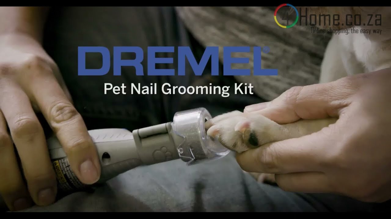 🐾Easy Pet Nail Care Demo with Dremel 7020-PGK 🐶 – See It to Believe It!
