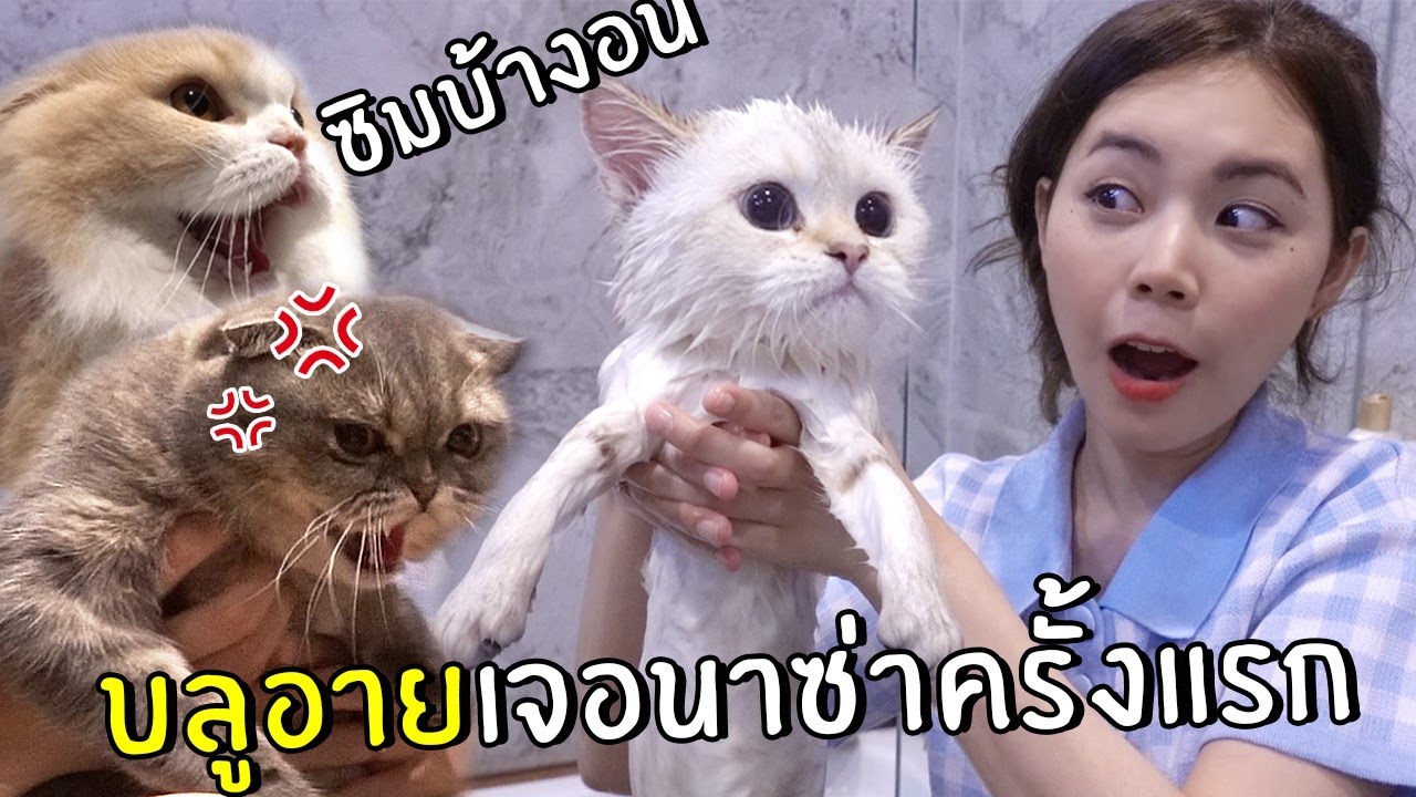 บลูอายเจอนาซ่าครั้งแรก ซิมบ้างอน