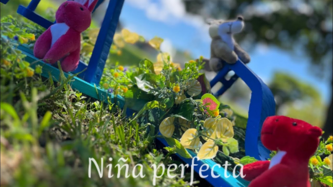 Elixjoss - Niña Perfecta (Official Lyric Video)