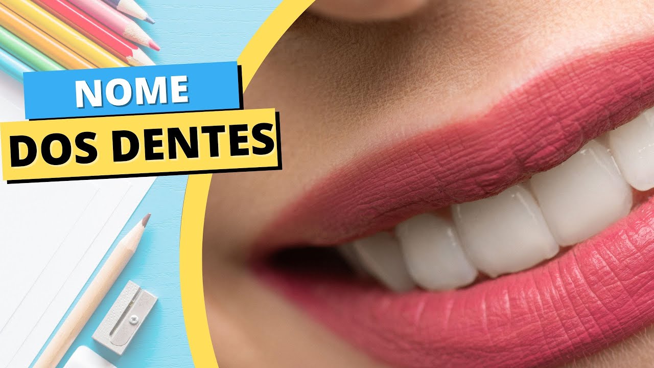 NOMES DOS DENTES: APRENDA O NOME DE TODOS OS DENTES!