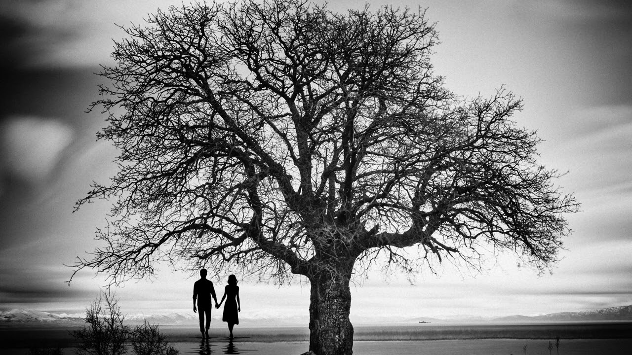 No Matter How the Game Ends (Full Album) - Christy Meyer