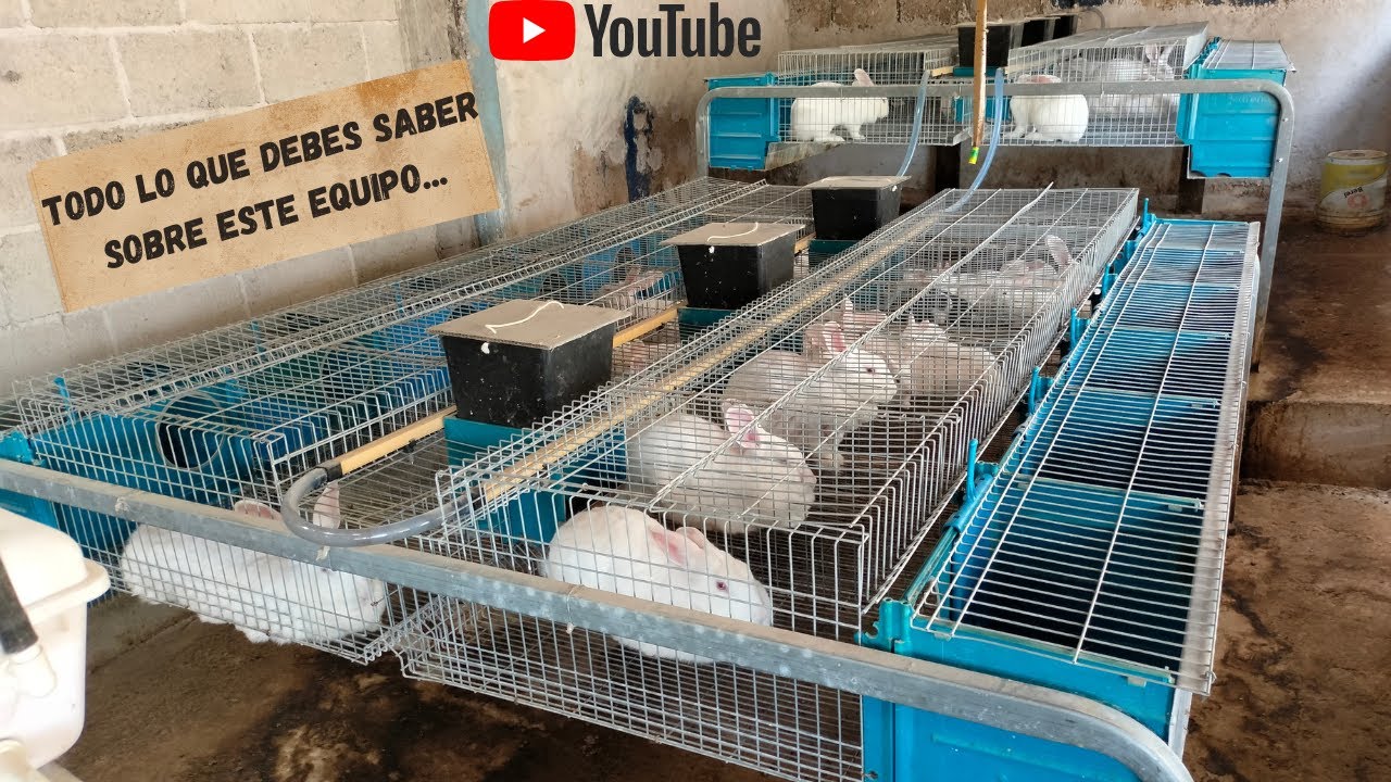 Conoce los Módulos EXTRONA y Por que Debes de Utilizarlos en tu Granja de Conejos.
