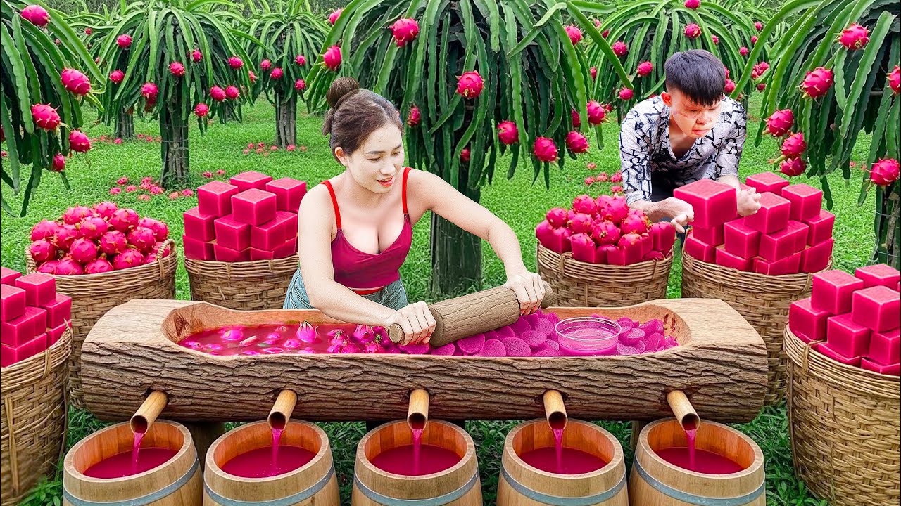From Garden to Jar: Dragon Fruit Jelly & How to Store It for Months &mdash; No Fuss, No Waste | L&yacute; Thị Hoa