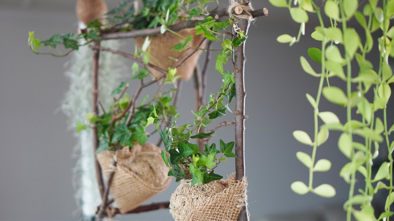 아이비 행잉플랜트 I 나뭇가지  DIY 🌱 How to make hanging plant with ivy 🌾