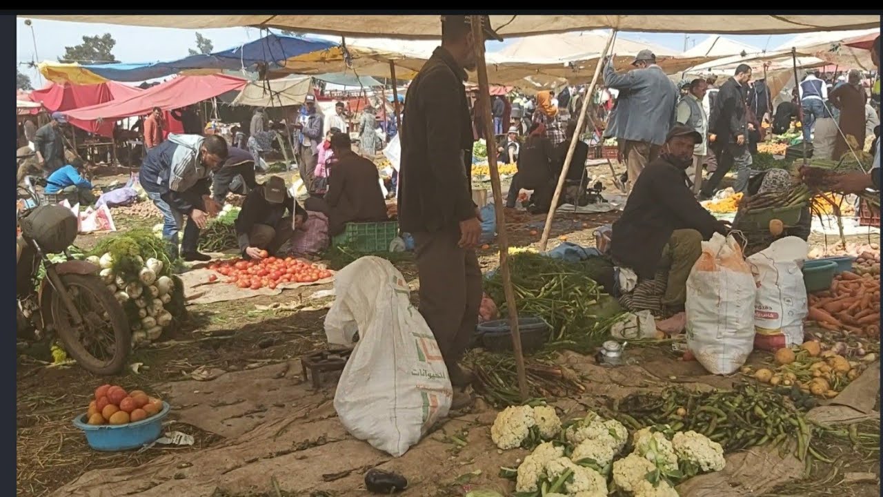 السوق الأسبوعي بن احمد مزاب حمداوى