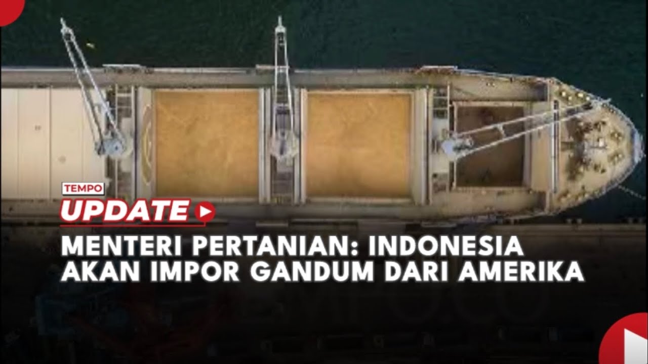 Menteri Pertanian: Indonesia akan Impor Gandum dari Amerika