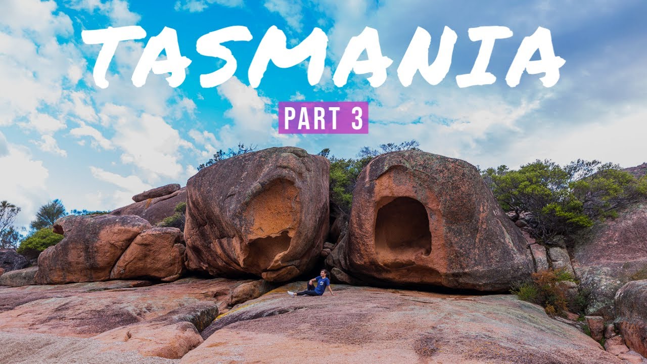 Tasmania Travel Vlog Part 3: Berry Farm + Oyster Farm + Freycinet National Park!