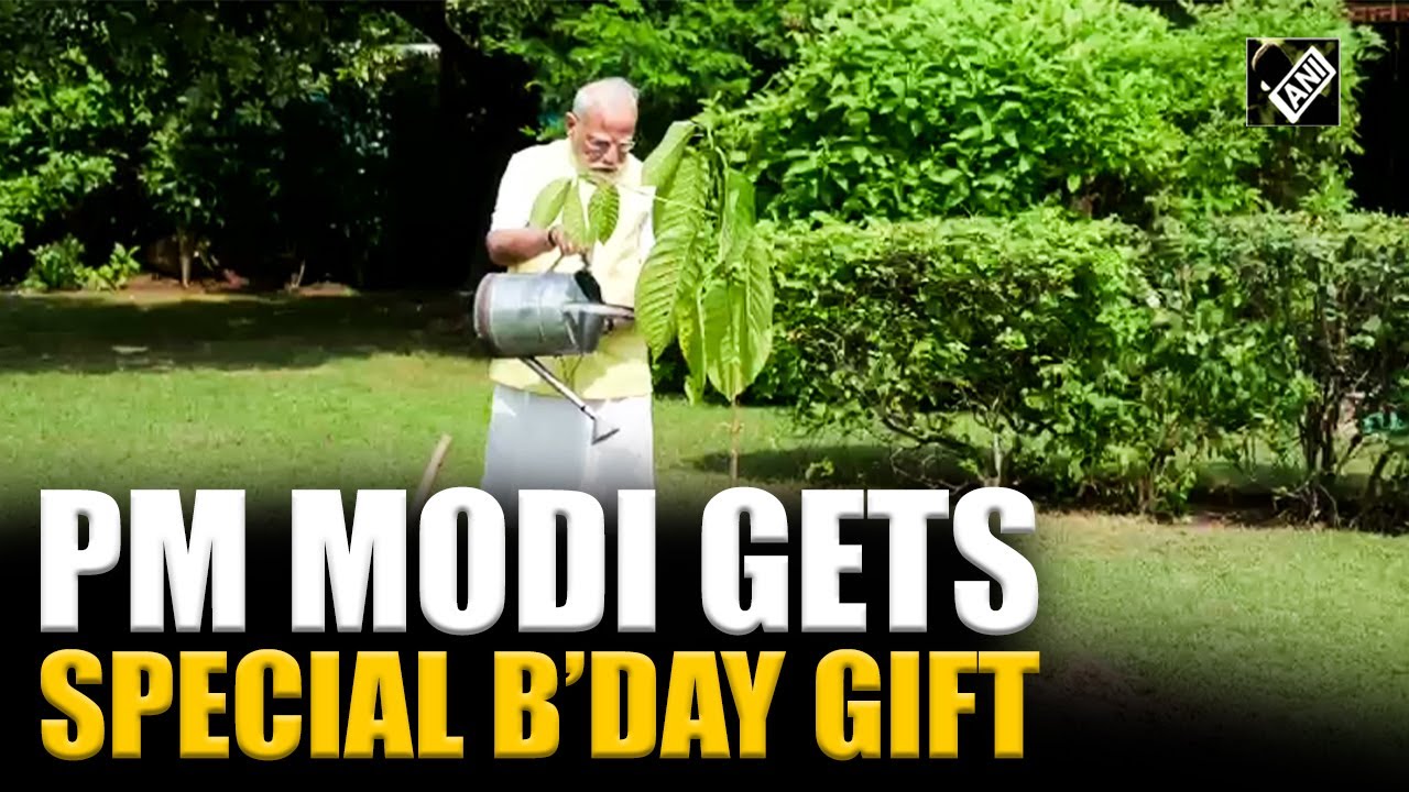 PM Modi gets special birthday gift by king Charles III, plants Kadamb sapling at his residence,7 LKM