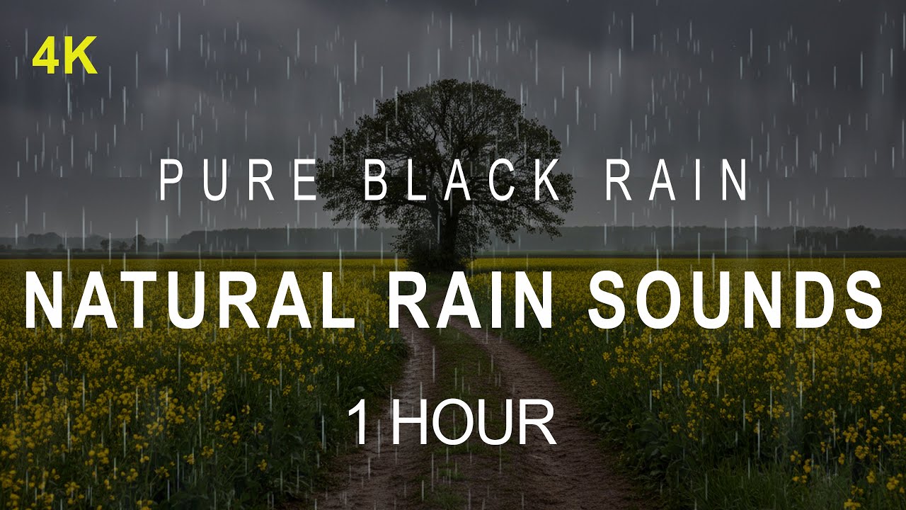 ⛈️ Natural Rain Sound | Darkness for Maximum Rest | 1 Hours