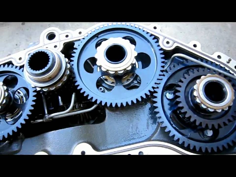 Are you a gearhead ?