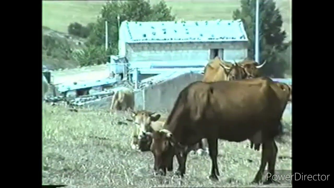 Caltavuturo (Anni 80,90)