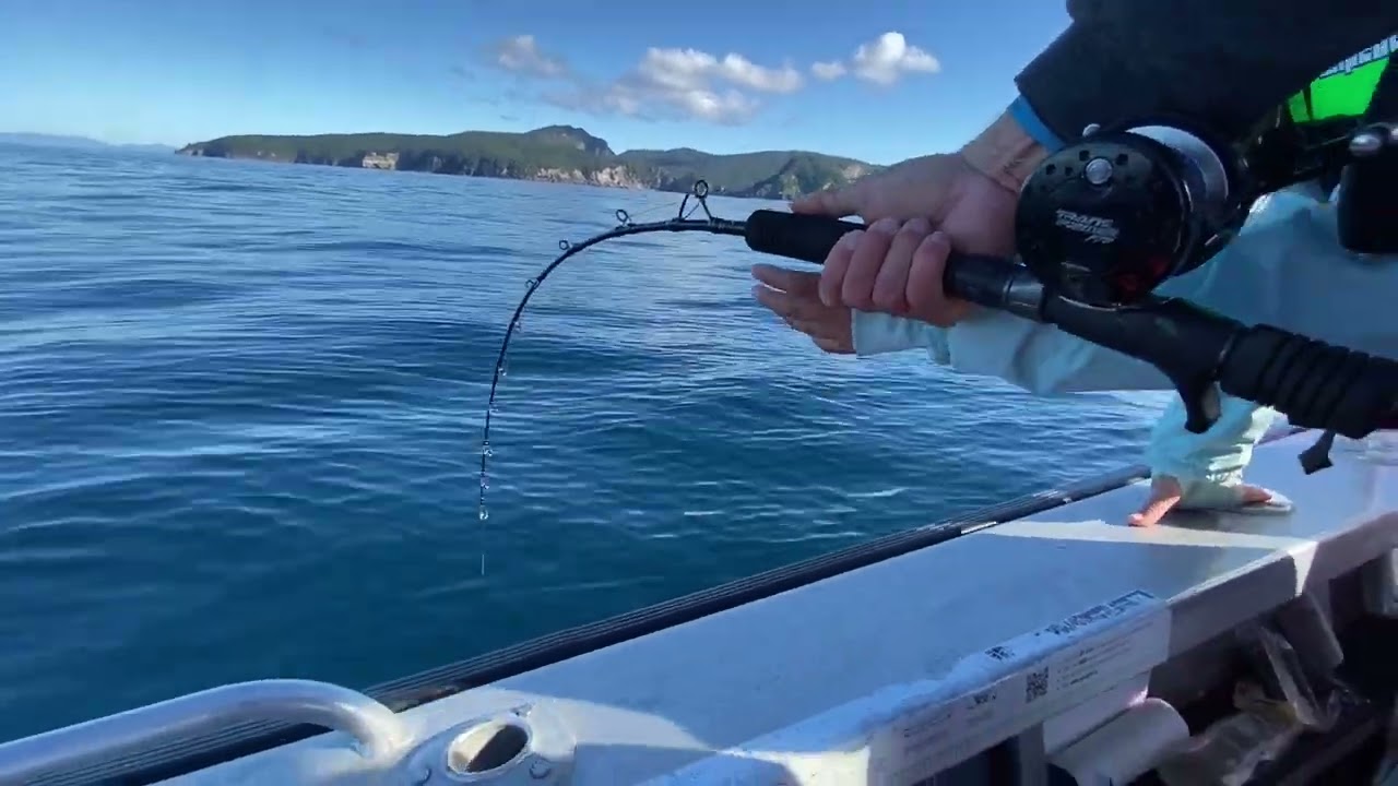 Pacific Bluefin Tuna - New Zealand