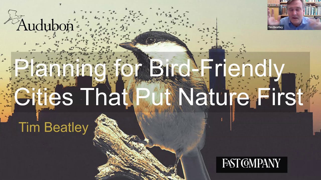 An Inside Look: Planning for Bird-friendly Cities That Put Nature First