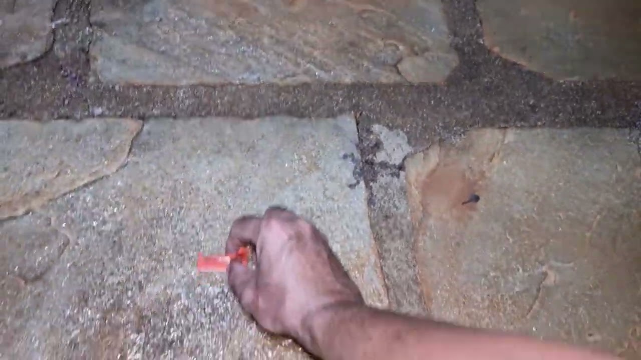 Teste rápio visão noturna westhunter NVE 20