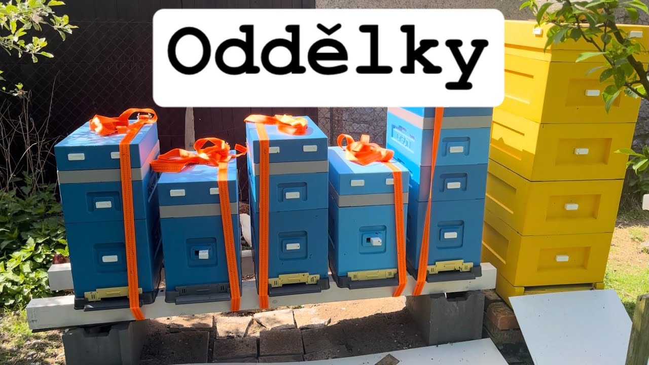 Oddělky - Budování včelí farmy #1