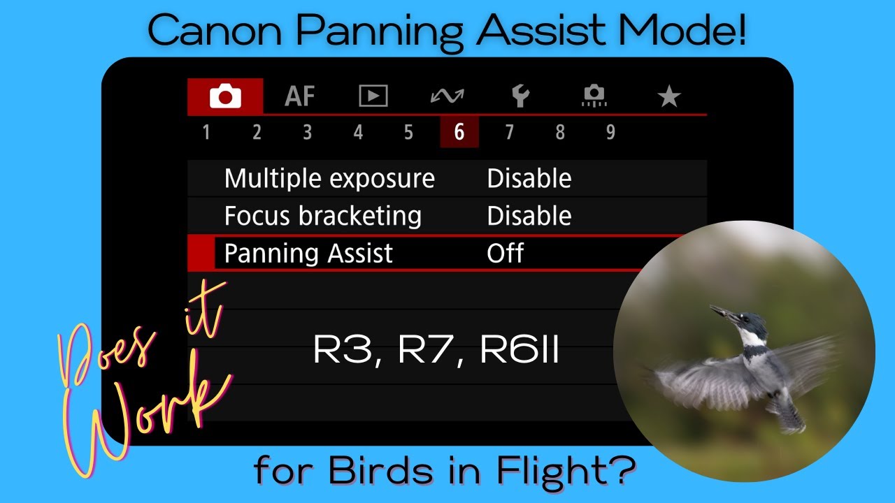 Canon R3, R7, R6II - Panning Assist Mode for Bird Photography?