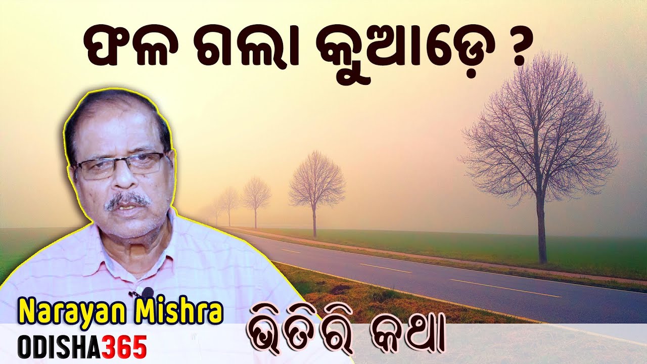ଫଳ ଗଲା କୁଆଡ଼େ ? Bhitiri Katha 116 | Narayan Mishra | Odsha 365