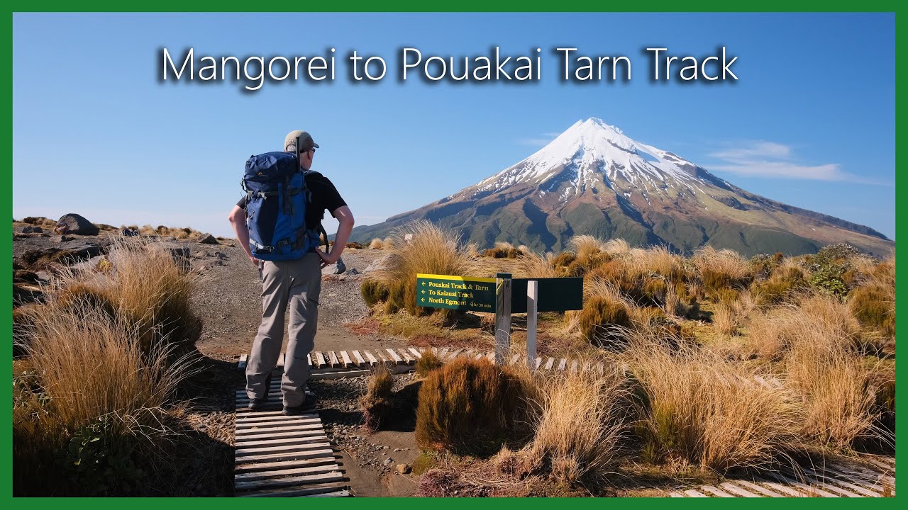 Solo Walks New Zealand in 4K: Mangorei to Pouakai Tarns Track, Mount Egmont National Park