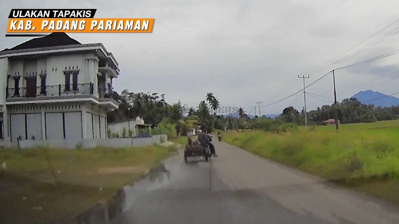 ULAKAN TAPAKIS (RIZWATCHERS - SUMATRA BARAT)
