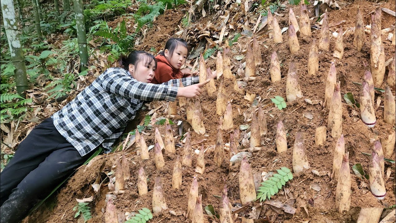 FULL VIDEO Harvest bamboo shoots, radishes and young squash to sell with daughter