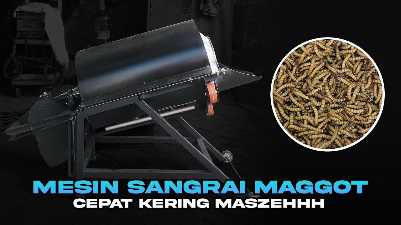 TERBAIK...!!! MESIN SANGRAI ULAT MAGGOT MURAHHHH