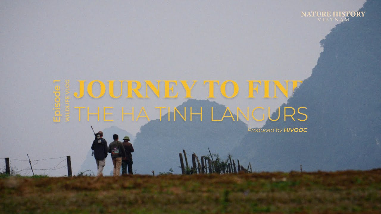 JOURNEY TO FIND THE HA TINH LANGURS/WILDLIFE VLOG: EPISODE 1