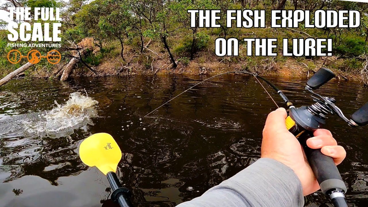 This Fish EXPLODED On The Lure | The Full Scale