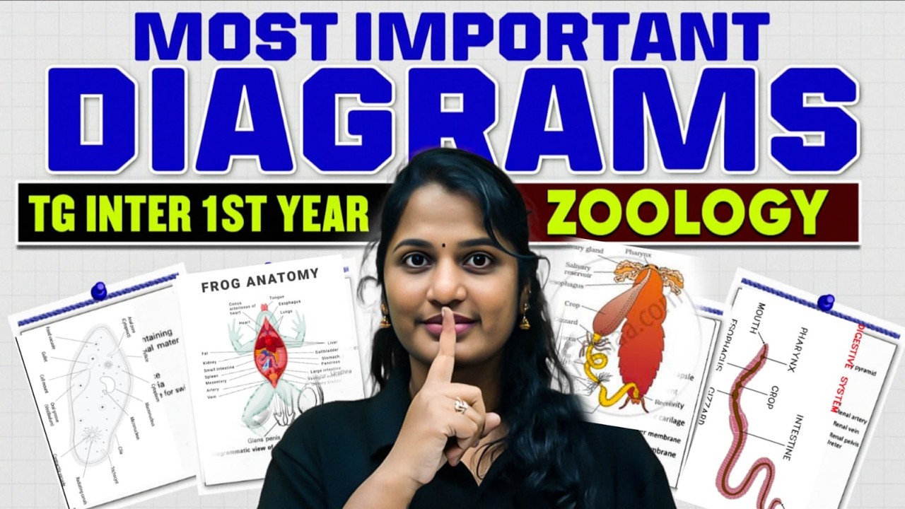 Most Important Diagrams | TG Inter 1st Year Zoology 2026 | Board Exam Preparation