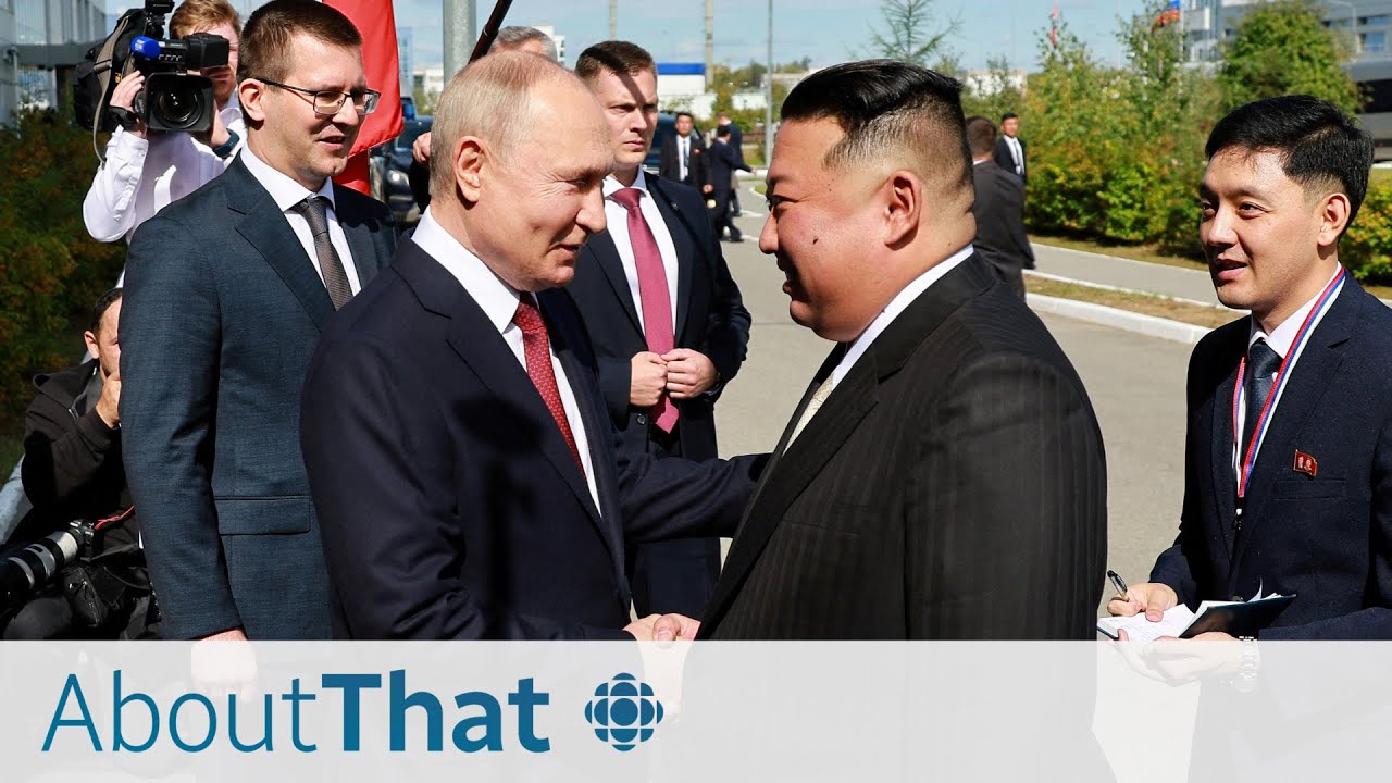 Who gets what in a Russia-North Korea arms deal? | About That