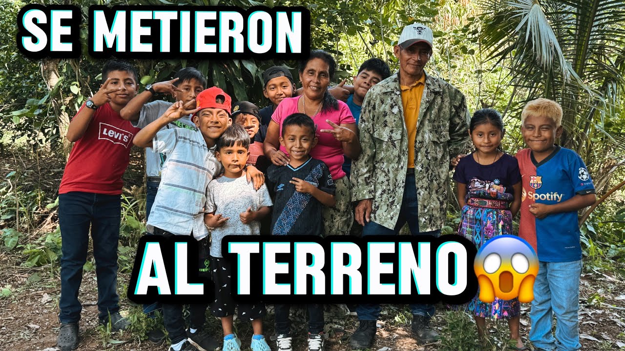 Se robaron los limones del terreno y el dueño los encuentra😱