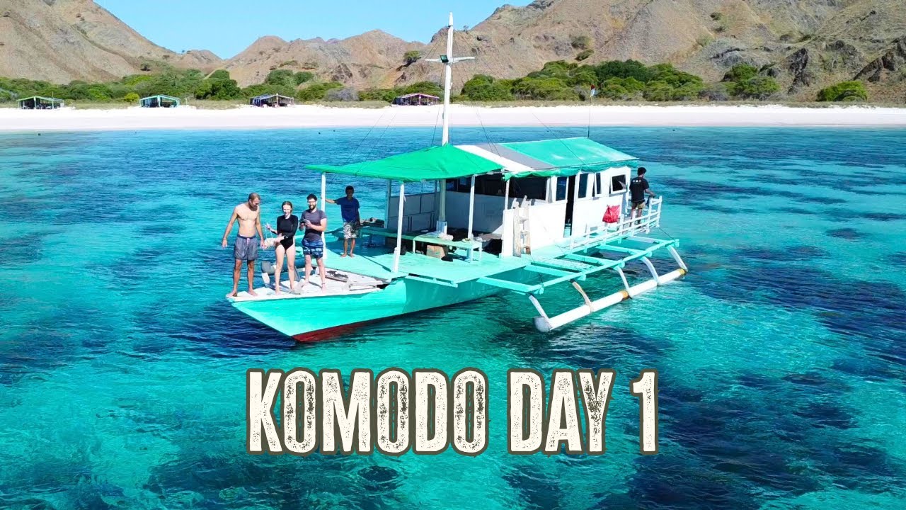 We Got a Private Boat in Komodo: We Found Corals, Turtles and Bats at Sunset
