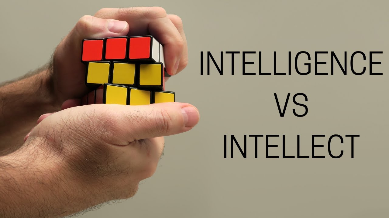 Intelligence VS Intellect - What's The Difference between Intelligence and Intellect