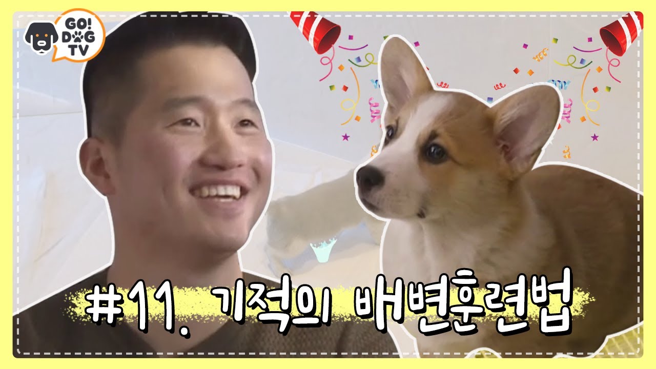 [고독TV] ♨이거슨 기적♨ 대중소 버릇 싹 다~ 갈아엎은 강형욱 훈련사! #대중소_성장기