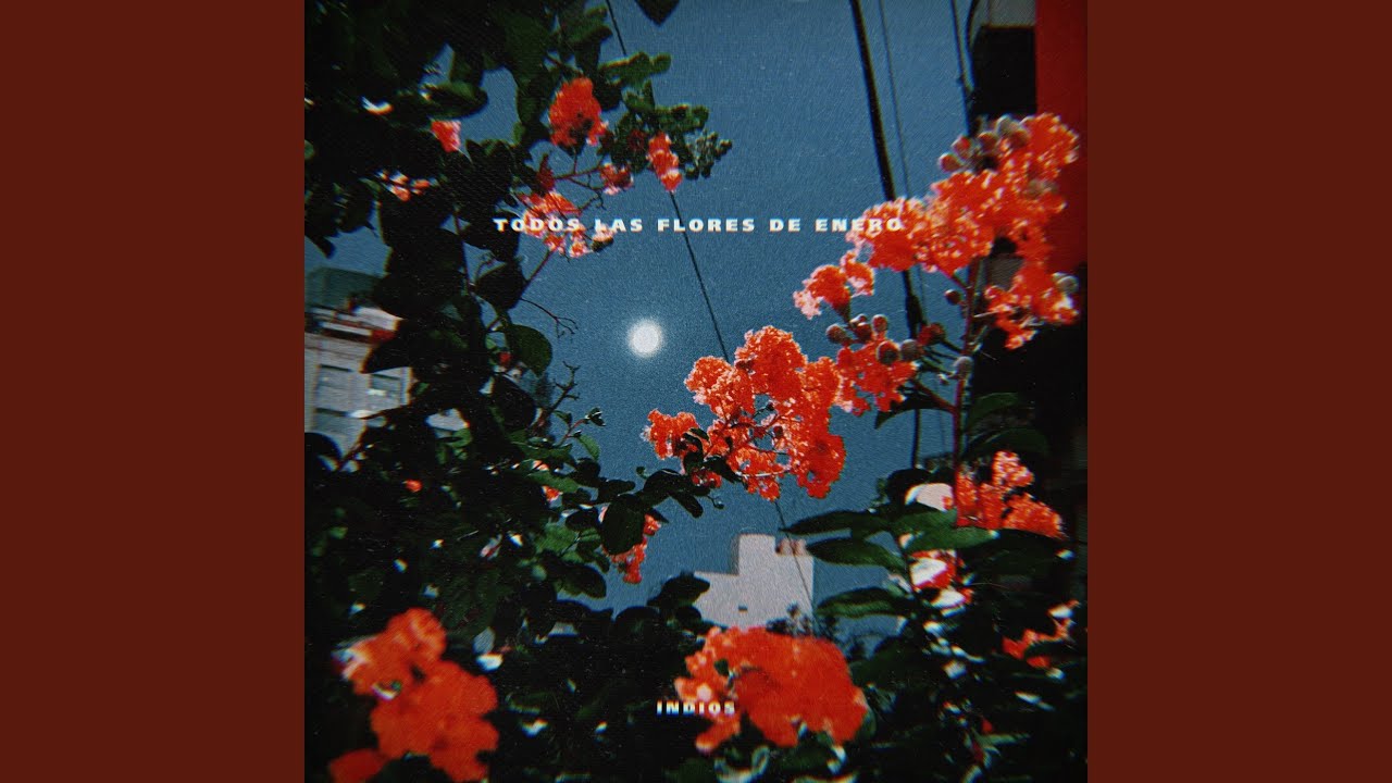Todas las Flores de Enero