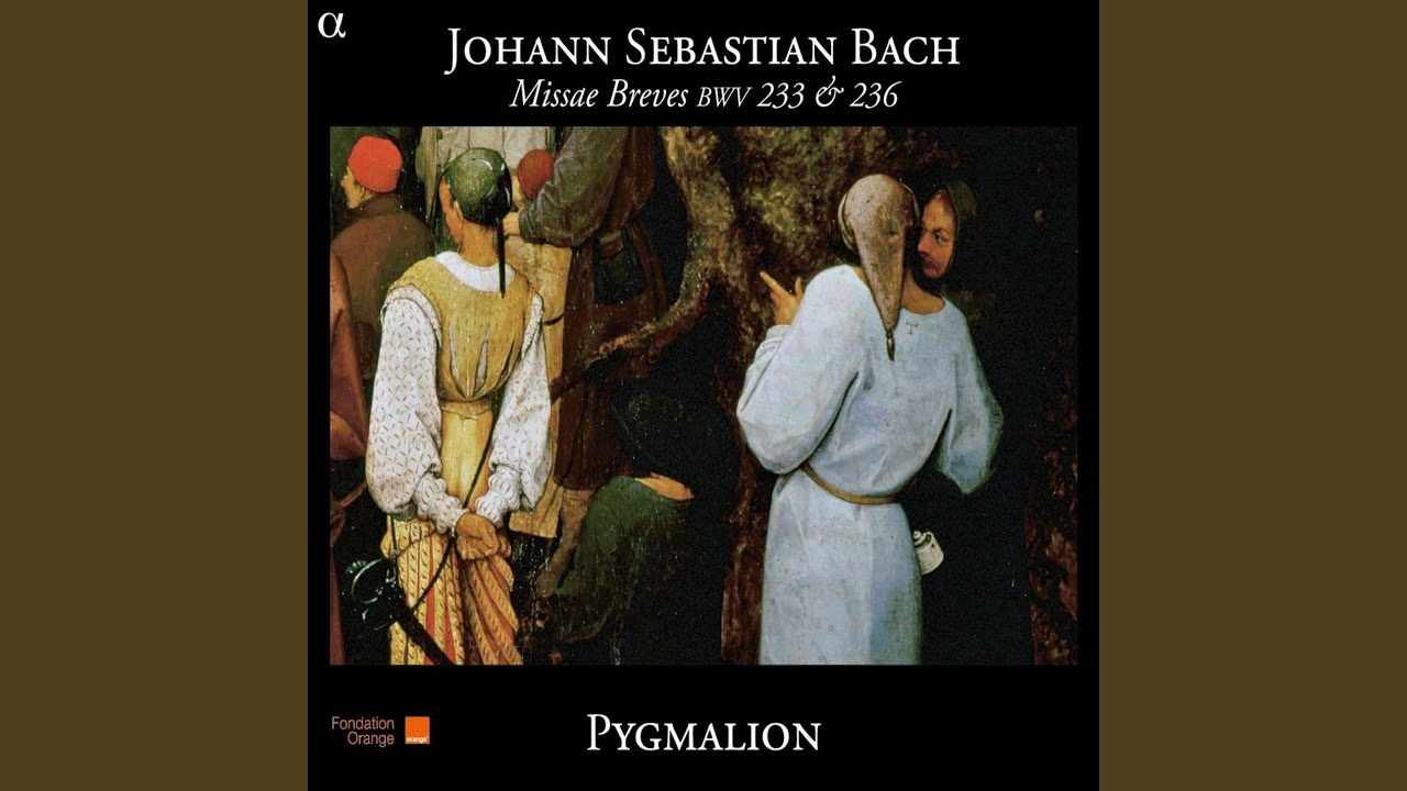 Missa Brevis in F Major, BWV 233: III. Domine Deus