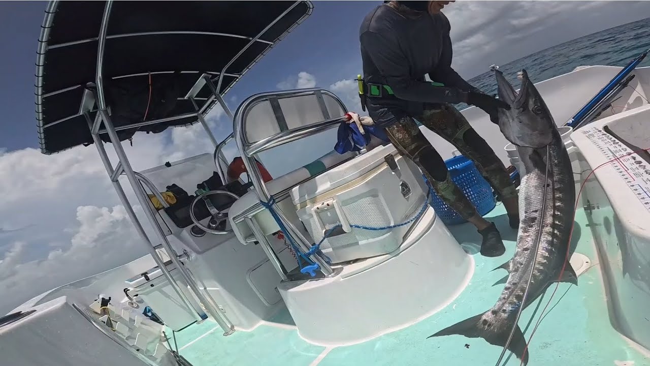 pesca submarina ultimo día de JULIO 2024