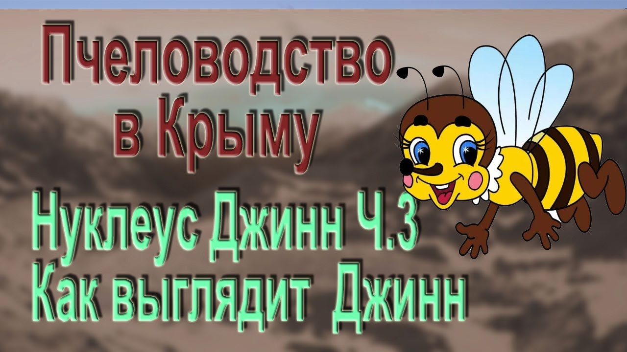 Как выглядит Нуклеус Джинн. Видеобзор