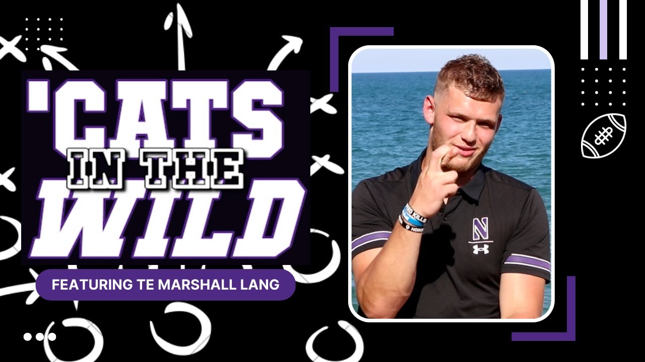 'Cats in the Wild: TE Marshall Lang