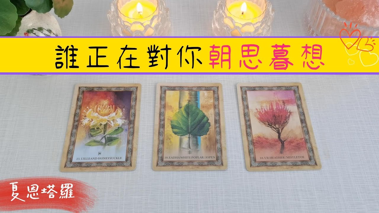 🔮【月老指引】誰正在對你朝思暮想？💕月老為你深入剖析他的詳細訊息💕目的💕動機💕以及月老給你的建議💕|塔羅占卜|戀愛|感情|脫單|下一任