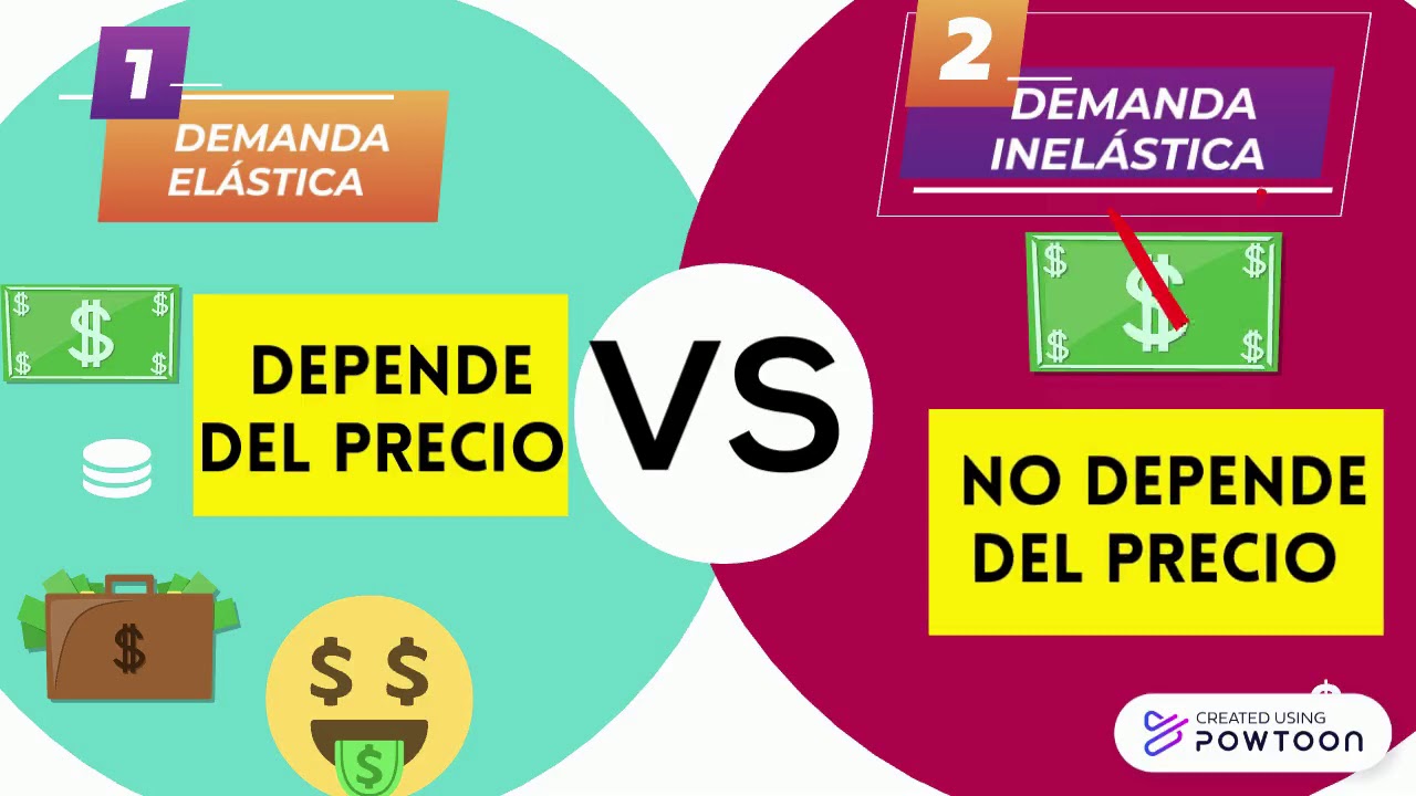 DEMANDA EL&Aacute;STICA Y INELASTICA
