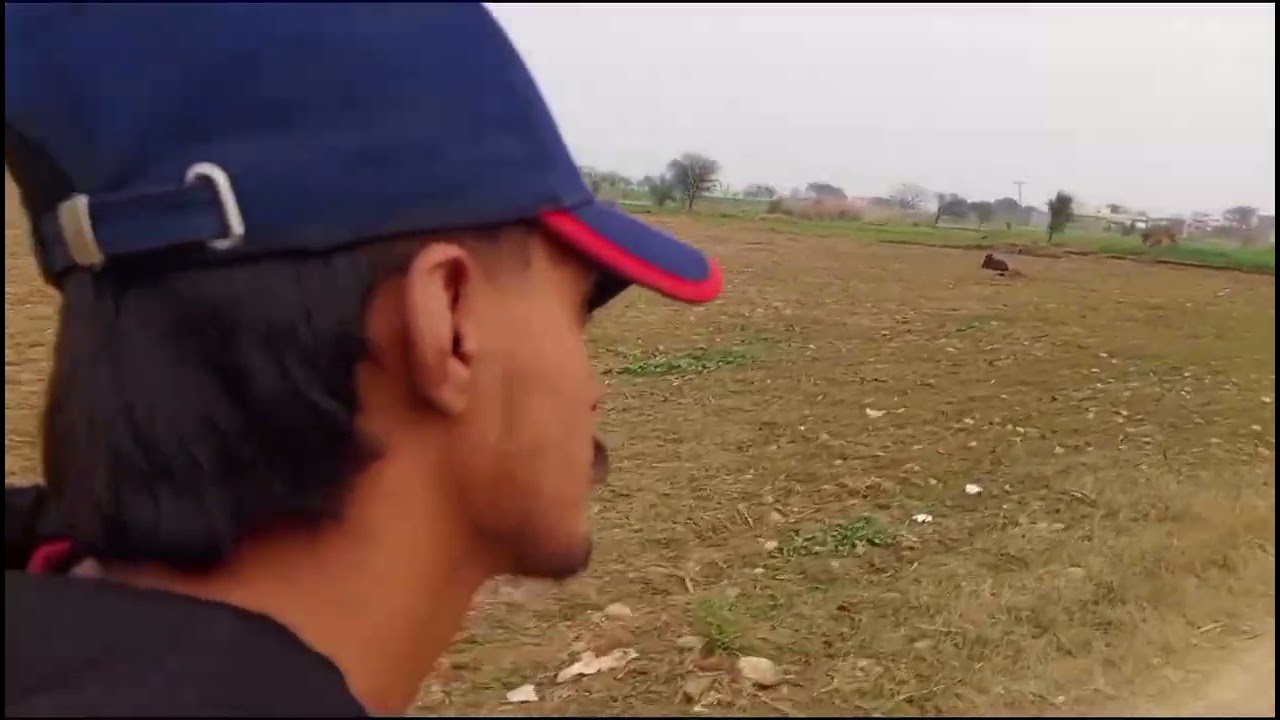#Usmanvlogging Pasand video