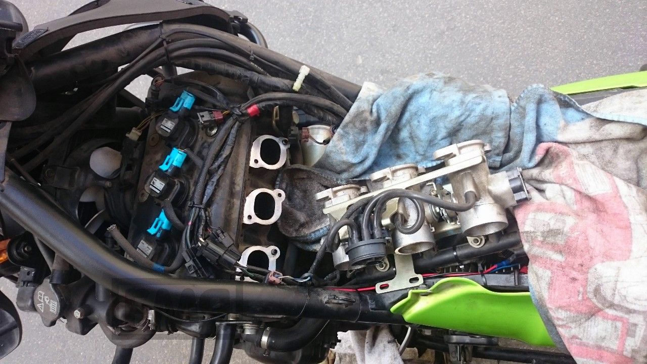 tiger 955i HEAD GASKET damage & its solution