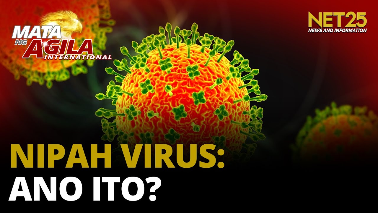 Ano ang Nipah virus na kumakalat sa ilang bansa