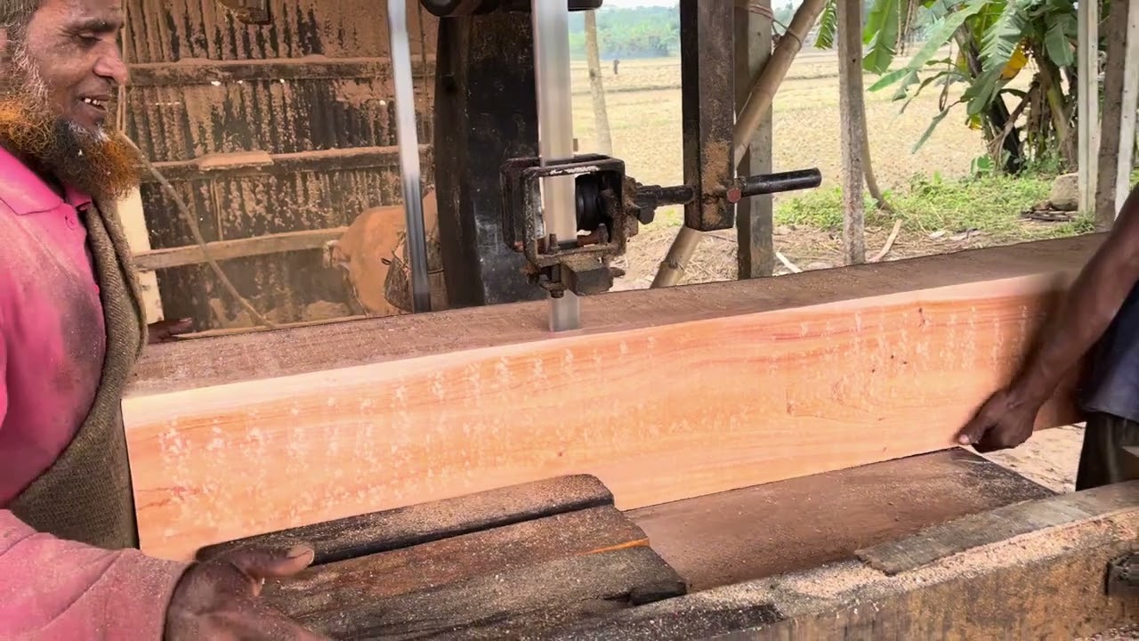 Never Seen Wood Cutting।।Dangerous Skills of Wood Cutting।।Mother of Wood Cutting Machine