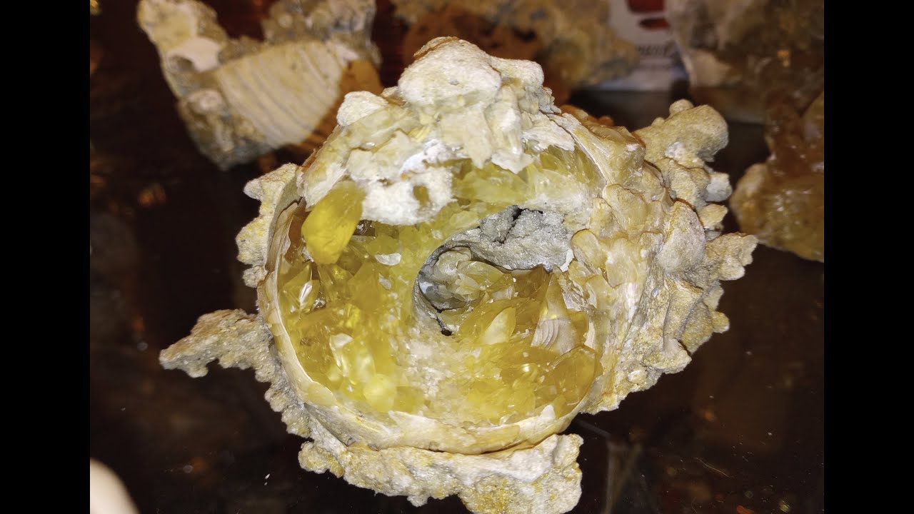 Rockhounding Florida Canal 54 in Fellsmere for Golden Calcite