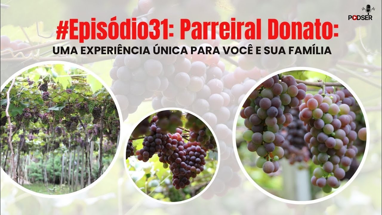 #Episódio31: Erval Seco (RS) — Parreiral Donato: Uma Experiência única para você e sua família